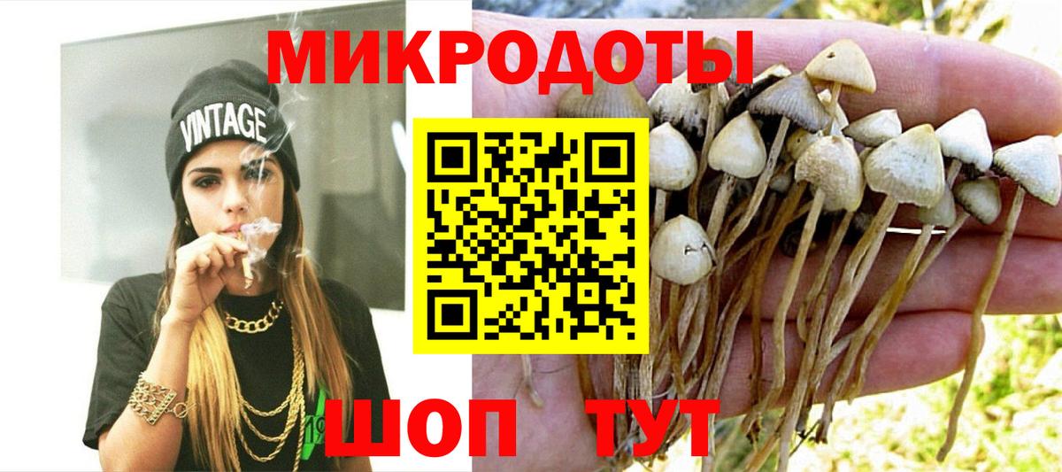 Галлюциногенные грибы Cubensis Югорск